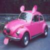BEETLE MOUSE