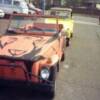 WILD THING